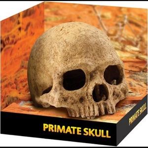 🐍Exo Terra Primate Skull Terrarium Hiding Place🦎